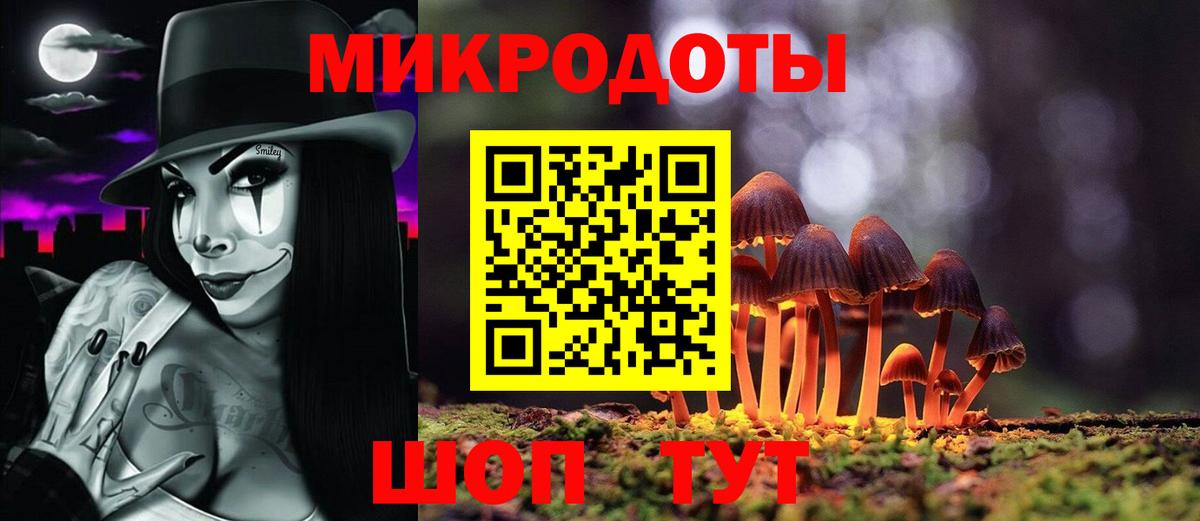 Галлюциногенные грибы Cubensis Гусев