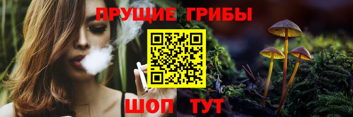 Псилоцибиновые грибы прущие грибы  Вход с VPN  Гусев 