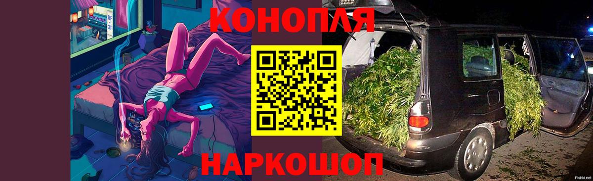 Каннабис индика Гусев